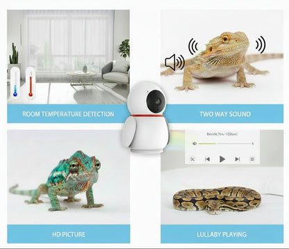 Little Penguin BMD228 Smart Terrarium Monitor & Climate Camera (1080p Full HD)