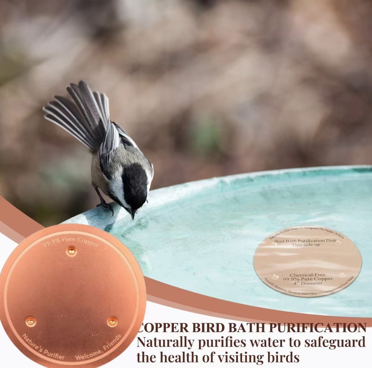 Bird Bath Cleaner Convenient, Lightweight Copper Disc