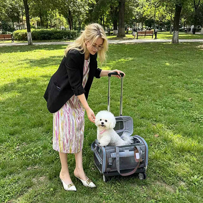 Mr. Peanut's Gold Series Mini Expandable Pet Carrier V3.0 - Landing August 15th