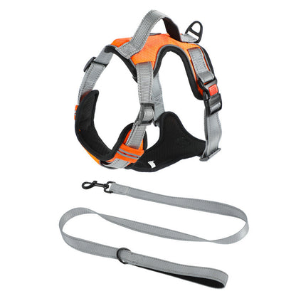 Dog Hand Holding Rope Vest Dog Chest Strap