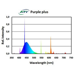 ATI Purple Plus