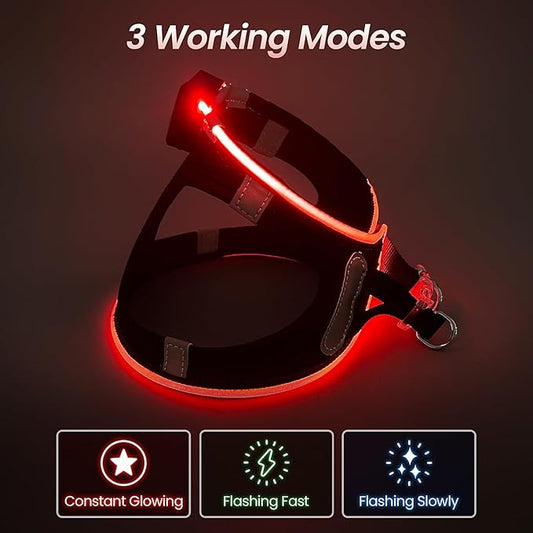 PceoTllar Light Up Dog Harness, LED No Pull Reflective Dog Harness, Flashing Lighted for Night Walking - Small/Medium, (Black Red,xs)