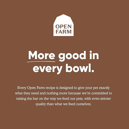 Open Farm Pasture-Raised Lamb Grain-Free Dry Cat Food, Humanely Raised Lamb Recipe with Non-GMO Superfoods and No Artificial Flavors or Preservatives, 2 lbs