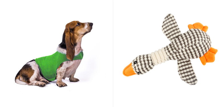 Anxiety Jacket Vest Summer Medical Treatment To Calm Down Cat Clothes Dog Comfort Clothes