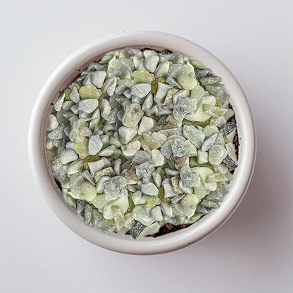 HappyFiller 18 Pound Small River Stones Decorative Tiny Pea Gravel for Aquarium Fish Tank Pebbles Rocks,Indoor Outdoor Plants Catcus Succulent Top Dressing,Zen Garden,Vase Fillers,Light Green Mix