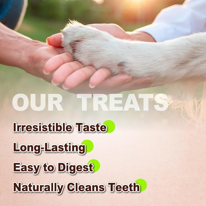 Afreschi Natural Turkey Tendon Rope (L) 3.53 oz, USA-Sourced Turkey Tendon, All Natural Human Grade Dog Chew, Hypoallergenic, Rawhide Alternative, Dog Treats for Large Breeds