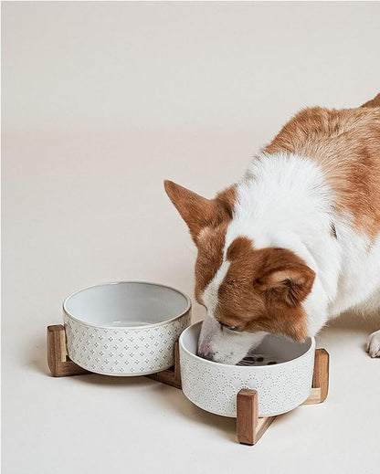 LE TAUCI Dog Bowl Set with Acacia Wood Stand - 1.5-Cup Ceramic Puppy Bowls for Small Dogs, Dual Food and Water Bowls with Weighted Non-Slip Base, Clover