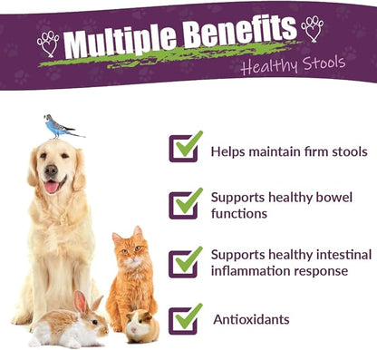 Amber NaturalZ Kochi Free Herbal Supplement for Dogs, Cats, Birds, Guinea Pigs, and Rabbits | Pet Herbal Supplement for Healthy Stool Support | 1 Fluid Ounce Glass Bottle | Manufactured in The USA