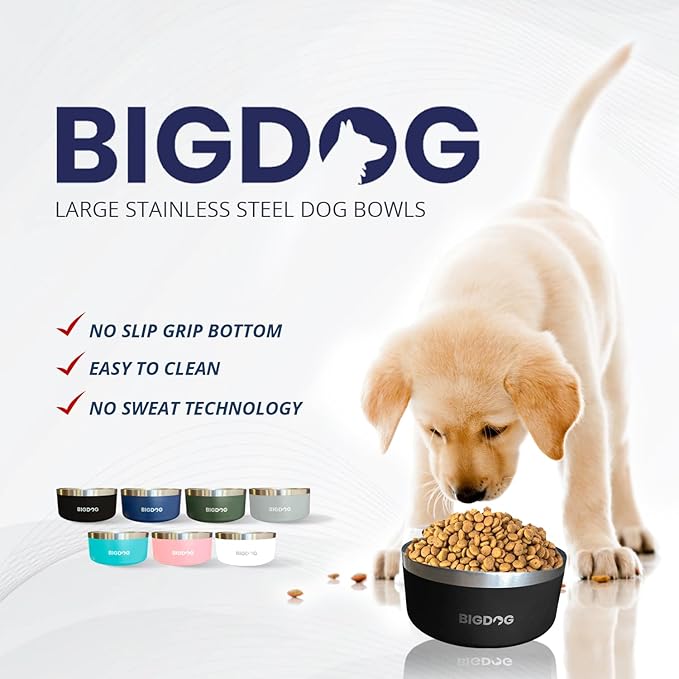 BIGDOG Stainless Steel Dog Bowl, 100 Ounces, Spill Proof, Large Dogs, Light Blue