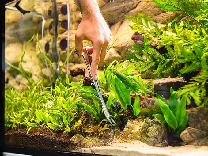 2PCS 15" Curved Aquarium Tweezers Long and 9.8" Aquarium Scissors, Feeding Tongs and Scissors with Protective Cap, Stainless Steel Aquascaping Tools for Plant Trimming and Reptile Feeding