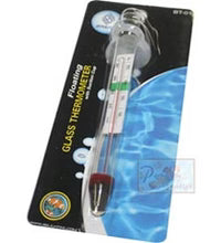 Glass Thermometer + Suction Cup