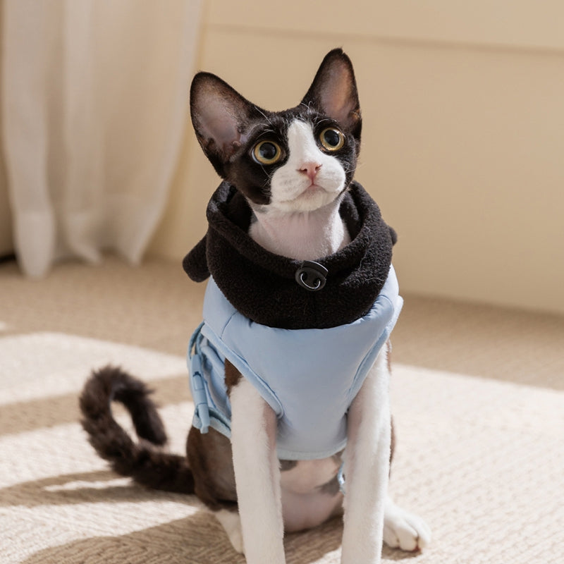 Autumn And Winter Cat Hairless Warm Cartoon Embroidered Hooded Cotton Coat, Small And Medium-sized Dog Teddy Pet Dog Clothes