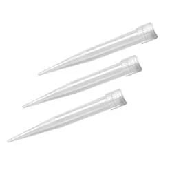 Two Little Fishies Julian`s Thing Coral Feeding Tool & Tips