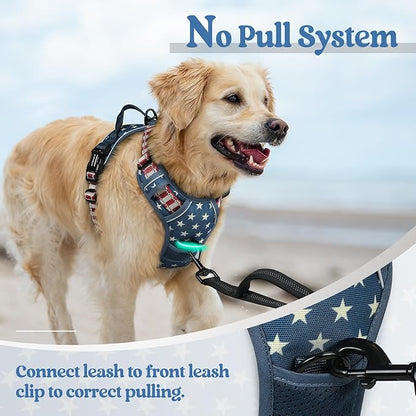rabbitgoo Dog Harness No Pull with 2 Leash Clips, Adjustable Soft Padded, Reflective Oxford No Choke Pet Vest with Easy Control Handle for Large Dogs, Blue Star, M