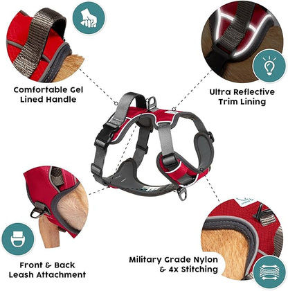 Embark Adventure Dog Harness, Reflective Trim No Pull Dog Harnesses for Small Sized Dogs - Military Grade Nylon, Front Clip with Gel Lined Handle. Soft & Padded Puppy