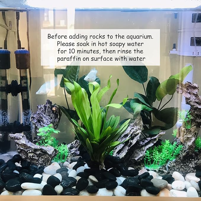 10 lbs Black Pebbles - 2-3 inch Decorative River Stones for Plants, Aquarium, Fish Tank, Outdoor Garden Landscaping