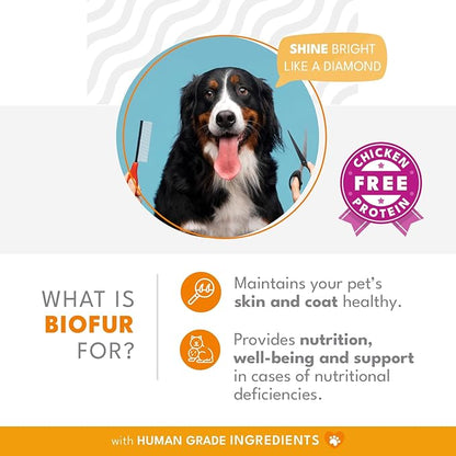BIOFUR: Omega 3 Supplement for Cats & Dogs - Puppy Essentials & Dog Allergy Relief - Vitamins, Minerals for Feline & Canine Skin, Coat Health, Nutrition, Well-Being, Orange