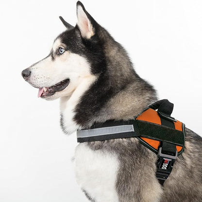 Dogline Dog Harness, Reflective No-Pull Adjustable Vest with Handle for Walking, Training, Breathable, No - Choke Harness for Small, Medium or Large Dogs Room for Patches Girth 33"-46" in Orange