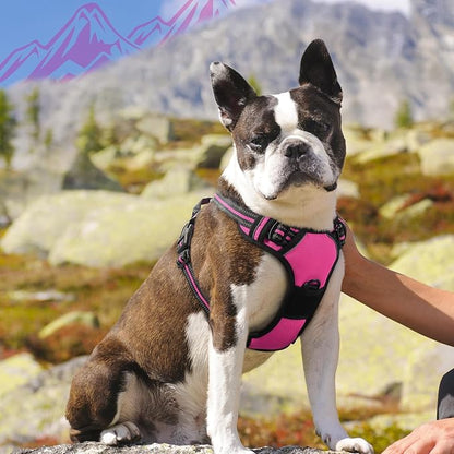 Eagloo Dog Harness Medium Sized Dog, No Pull Service Vest with Reflective Strips and Control Handle, Adjustable and Comfortable for Walking, No Choke Pet Harness with 2 Metal Rings, Rose Red, M