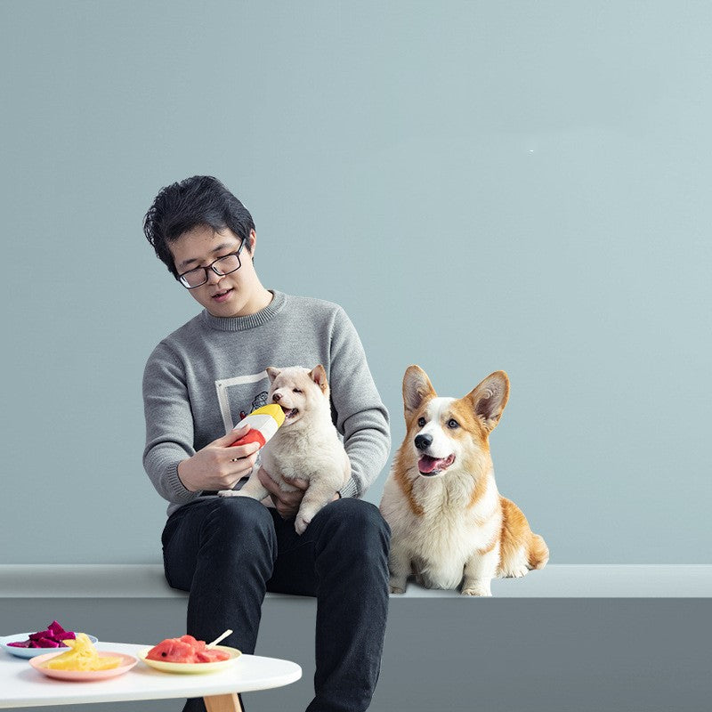 Pet dog toy plush resistant to biting teeth