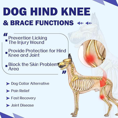 ROZKITCH Dog Surgery Leg Sleeve Rear Legs, Male Female Pet Prevent Licking Wound Elbow Knee Protector, Dog Recovery Suit Cone Collar Alternative Pants Shirt for Wound Heal Wrap Rosered L