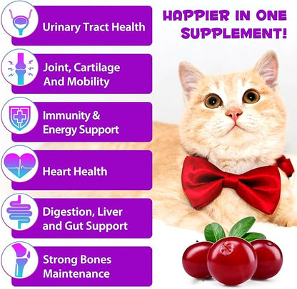2PCS Liquid Multivitamin for Cat, 15 in 1 Cats Multivitamin Liquid Drops Supplements for Skin & Coat, Heart Health, Bones and Joint, Cat Vitamins with Glucosamine and MSM, Immune System Support