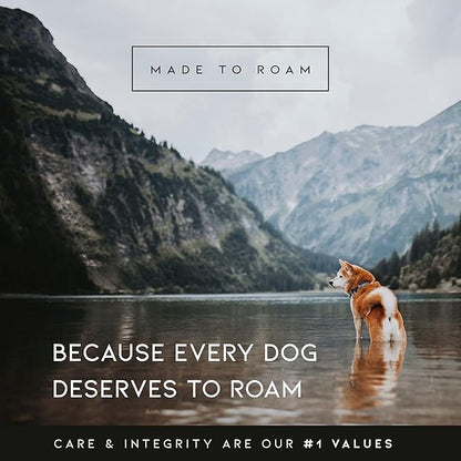 MADE TO ROAM Premium Explorer Harness - Y-Shaped Dog Harness with Adjustable Durable Nylon, Soft Padding, Metal Buckles and Leather Handle for Small, Medium, Large Dogs (Utah Glow, Size 2)