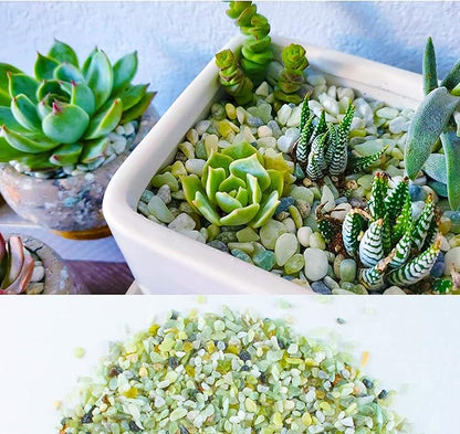 7lb Jade Bean Pebbles,1/4 Inch Cactus Bonsai DIY Rocks, Natural Succulent Rock and River Rocks Decorative for Aquariums, Vases, Terrarium, Outdoor Gardening, Top Dressing for Potted Plants