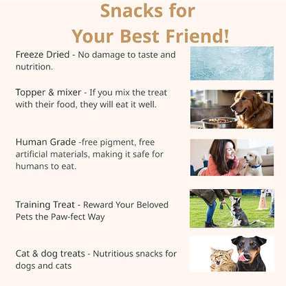 Puppyluv Treat - Air Dried Pollock Dog & Cat Treats, Wild Caught, Single Ingredient, Natural High Protein & Fish Oil, Grain Free, Gluten Free, 2.5oz