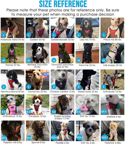 Lukovee Dog Seat Belt for Car, Adjustable Dog Car Harness for Large Medium Small Dogs, Soft Padded & Breathable Mesh Dog Seatbelt with Car Strap and Carabiner(Light Blue Double Clip,XX-Small)