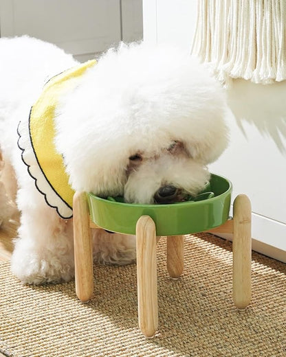 LE TAUCI Ceramic Slow Feed Dog Bowls, Elevated for Small Breeds, Anti-Gulping, Non-Slip, 6 inch, Green