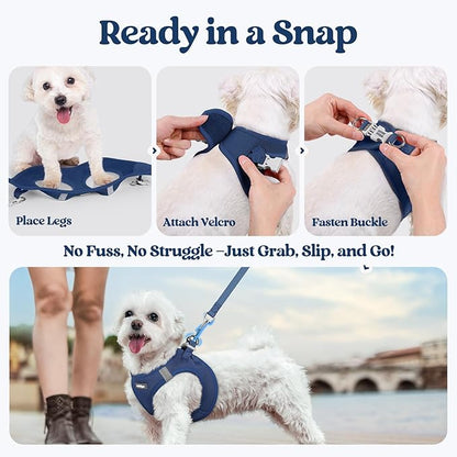 rabbitgoo Dog Harness Small Sized and Leash Set, Step in Soft Light Puppy Vest, Breathable Mesh Pet Harness, Reflective for Safe Outdoor Walking, Navy Blue XS