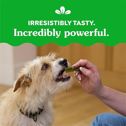 Greenies Original Teenie Dental Dog Treats, 6 oz. Pack (22 Treats)