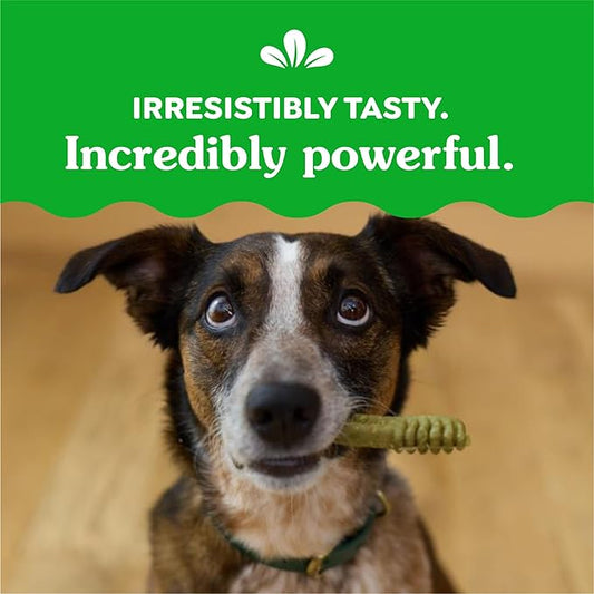 Greenies Original Regular Dental Dog Treats, 3 oz. Pack (3 Treats)