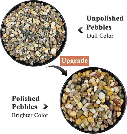5 lbs Polished Pebbles, 3/8 Inch Pea Gravel for Plants, Decorative Stones River Rocks for Succulent Soil Cover, Cactus, Aquarium, Vase and Outdoor Garden Landscaping