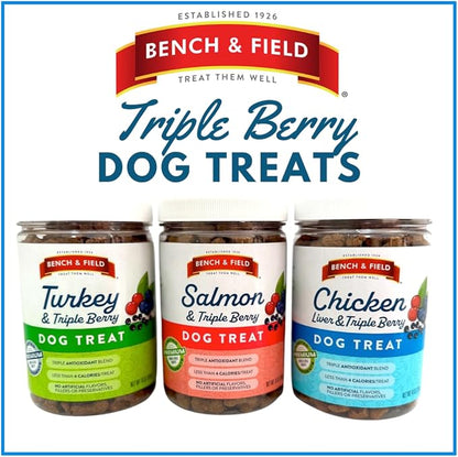 Bench & Field Holistic Natural Salmon & Triple Berry Dog Treats | Crunchy Bone-Shaped Bites | Antioxidant Blend, 10-Ounce Bottle