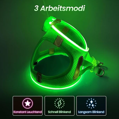 PceoTllar Light Up Dog Harness, LED No Pull Reflective Dog Harness, Flashing Lighted for Night Walking - Small/Medium, (Green L)