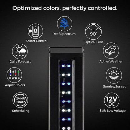 CURRENT USA 72" Inch Orbit Marine IC LOOP LED Saltwater Reef Marine Aquarium Light with Bluetooth App Control | Wireless Lighting & eFlux Wave Pump Control for Fish Tank (4208)