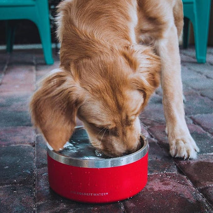 Coldest Dog Bowl - Anti Rust Metal, Non Slip, 3 Layers Insulated Stainless Steel Dog Bowls - Spill Proof & Heavy Duty - Water Bowl for Dogs, Cats & Pets, Dish Washer Safe (64 oz,Candy Red Glitter)
