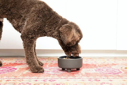 Waggo Uplift Ceramic Dog Bowl for Small Medium and Large Breeds - Heavyweight and Durable Pet Food and Water Dish Crock, Dishwasher Safe, Modern, Elevated Feeder (Small, Black)