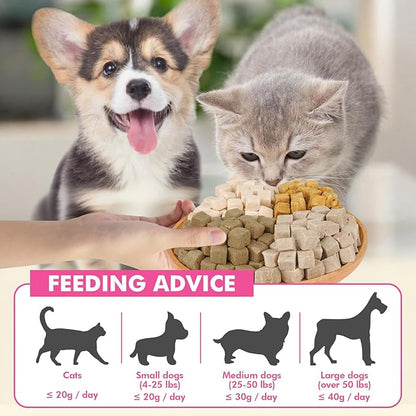 Freeze Dried Cats & Dogs Raw Treats, All Natural Single Ingredient Salmon, High Protein Healthy Pet Training Treats or Food Topper, 3.5 oz