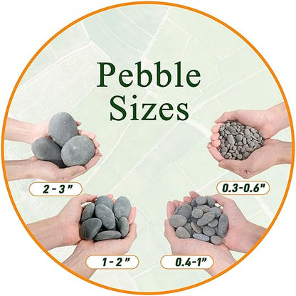 5 lbs Natural Mexican Beach Pebbles, 1-2 Inch Large River Rocks for Plants and Landscaping, Decorative Stone for Fish Tank Aquarium Fountain Garden Paving Walkways Pathways Backyard, Grey