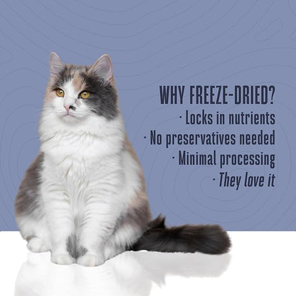 Whole Life Cat Just One Tuna Freeze Dried Cat Treats - Human Grade High Protein Food, Healthy Training Snacks, Freeze Dried Tuna Food Toppers, USA Made Natural Treats - 3 oz (Pack of 1)