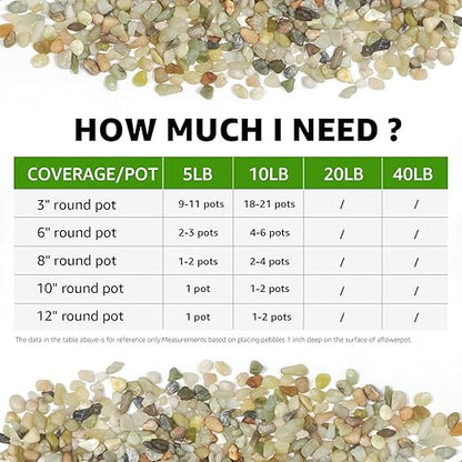 10 LBS Natural Decorative Jade Stones – Ideal for Plants, Succulents, Aquariums, Vases, and Garden Pots. 1/5 Inch Natural Stones Enhance Drainage and Soil Moisture Balance (Jade, 10 Pounds)
