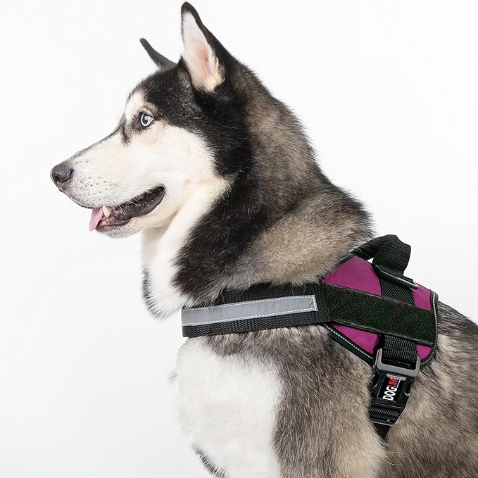 Dogline Dog Harness, Reflective No-Pull Adjustable Vest with Handle for Walking, Training, Breathable, No - Choke Harness for Small, Medium or Large Dogs Room for Patches Girth 22"-28" in Pink