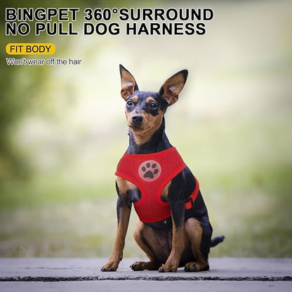 BINGPET No Pull Dog Harness - All Weather Mesh Step-in Vest for Small Dogs, Breathable Mesh Puppy & Cat Harness, Red, X-Small