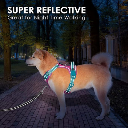PHOEPET No Pull Dog Harness, Unique Colors Reflective Adjustable Dog Vest, with Soft Training Handle Metal Clips for Small Medium Large Dogs (Purple Base & Green Straps,XS)
