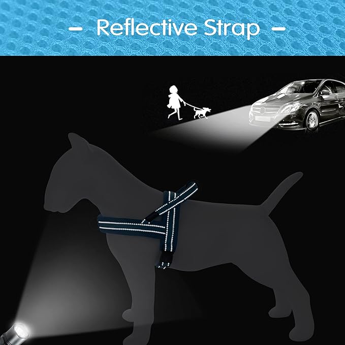 Didog No Pull Dog Harness with Soft Mesh Padded,Reflective & Quick Fit Light Weight Dog Strap Vest Harness,Easy for Walking Training (M:Chest 21-26", Mesh-Blue)