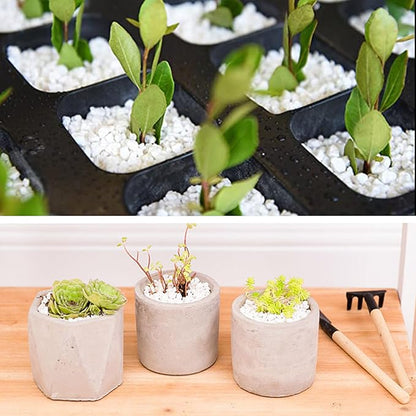 45lb White Cactus Pea Gravel Rocks,1/4 Inch Pebbles for Indoor Plants, Natural Succulent Rock and River Rocks Decorative for Aquariums, Vases, Outdoor Gardening, Top Dressing for Potted Plants