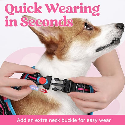 rabbitgoo Dog Harness Small Sized, No Pull Dog Vest with 3 Buckles, Adjustable Soft Padded Pet Harness with Easy Control Handle and Reflective Strips, Rose Pink & Blue, S